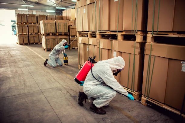 Best Emergency Pest Control  in Daleville, IN