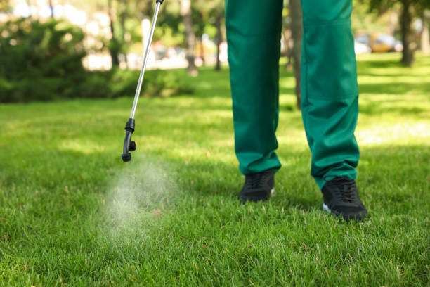 Best Bed Bug Extermination  in Daleville, IN