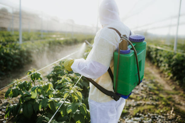 Best Insect Control  in Daleville, IN